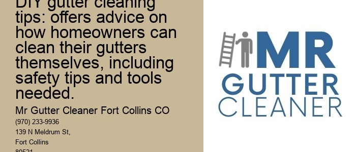 DIY gutter cleaning tips: offers advice on how homeowners can clean their gutters themselves, including safety tips and tools needed.