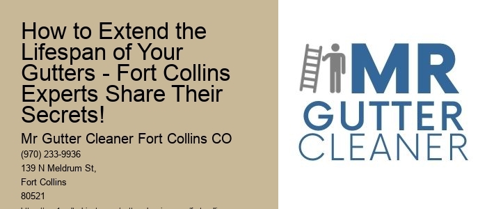 How to Extend the Lifespan of Your Gutters - Fort Collins Experts Share Their Secrets!