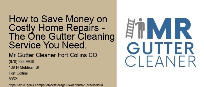 How to Save Money on Costly Home Repairs - The One Gutter Cleaning Service You Need.