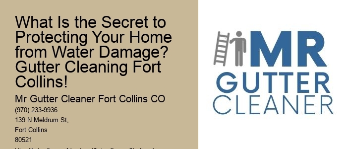 What Is the Secret to Protecting Your Home from Water Damage? Gutter Cleaning Fort Collins!