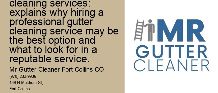 Professional gutter cleaning services: explains why hiring a professional gutter cleaning service may be the best option and what to look for in a reputable service.