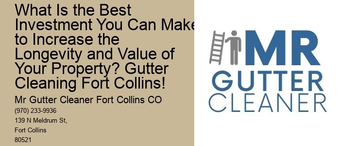 What Is the Best Investment You Can Make to Increase the Longevity and Value of Your Property? Gutter Cleaning Fort Collins!